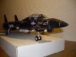 k-F-14 Tomcat (21).JPG

232,82 KB 
640 x 480 
18.03.2009

